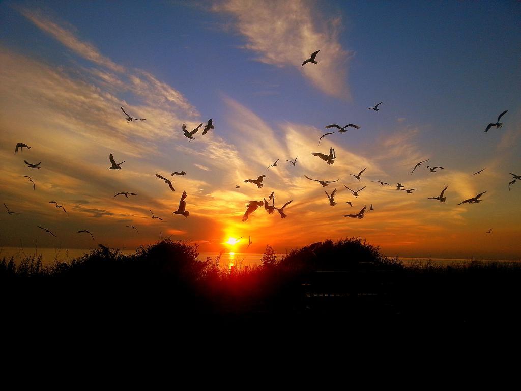 Sunset Guest House Hunstanton Zewnętrze zdjęcie Sunset at the beach